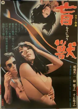 镜像宇宙